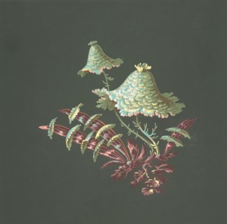 Two Hat-Shaped Chinoiserie Flowers with Fanciful Leaves, 19th century.