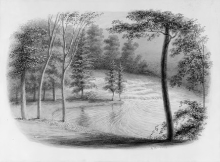 A Brook (from Hosack Album), .