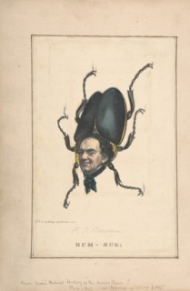 Hum-Bug (P. T. Barnum), from the Comic Natural History of the Human Race, 1851.