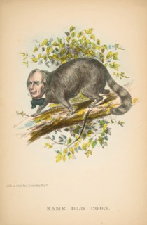 Same Old Coon (Henry Clay), from The Comic Natural History of the Human Race, 1851.