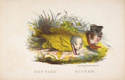 Son Fish and Sucker, from The Comic Natural History of the Human Race, 1851.