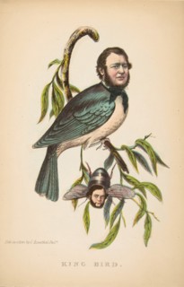 King Bird (Robert P. King and Alexander Baird), from The Comic Natural History of the Human Race, 1851.