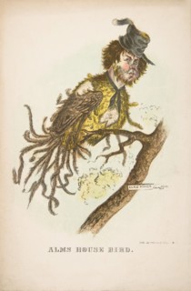 Alms House Bird, from The Comic Natural History of the Human Race, 1851.