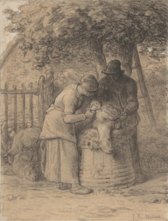 Sheepshearing Beneath a Tree, ca. 1854.