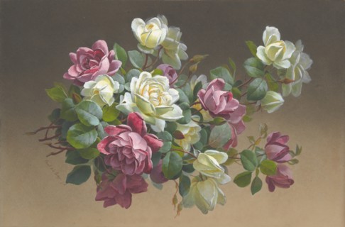 Flowers: Roses, late 19th-early 20th century.