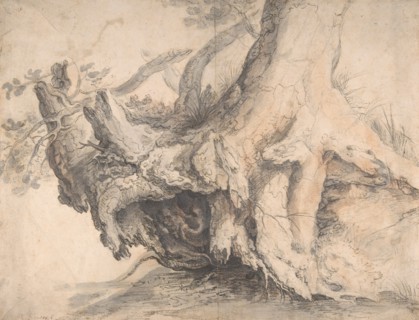 Study of a Tree, ca. 1606-7.