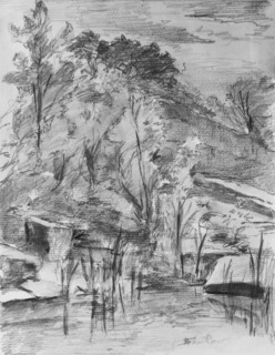 Trees and Stream, .