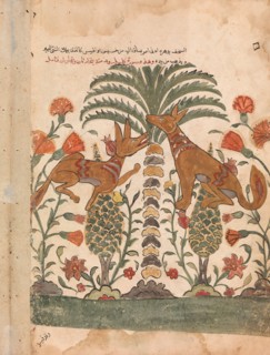 Kalila Upbraiding Dimna, Folio from a Kalila wa Dimna, 18th century.