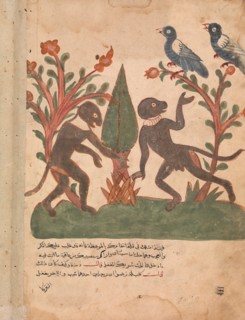 The Birds and the Monkeys with the Glow Worm, Folio from a Kalila wa Dimna, 18th century.