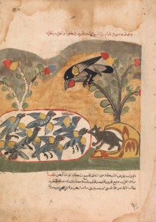 The Mouse Gnaws the Net Imprisoning the Doves, Folio from a Kalila wa Dimna, 18th century.