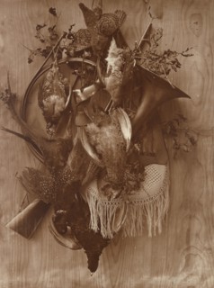 Pheasant and Grouse, ca. 1865.