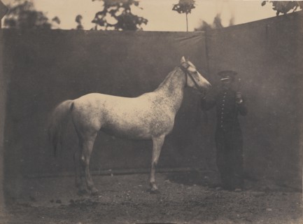 Pascaline, ca. 1855-60.