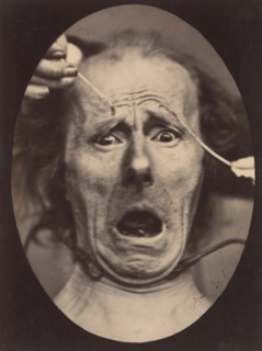 Electro-Physiologie, Figure 64, 1854-56, printed 1862.