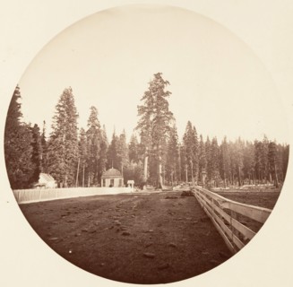 The Sentinels. C. Grove, ca. 1878.