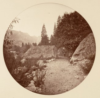 [Yosemite National Park, California], ca. 1878.