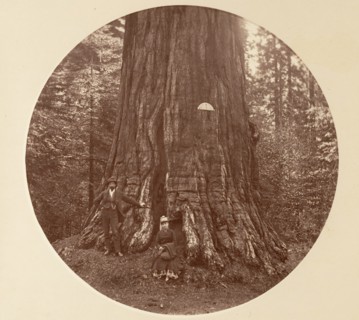 The Empire State - C. Grove, ca. 1878.