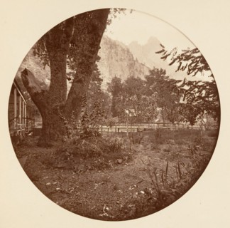 [Yosemite National Park, California], ca. 1878.