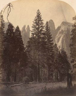 Cathedral Towers, 1861.