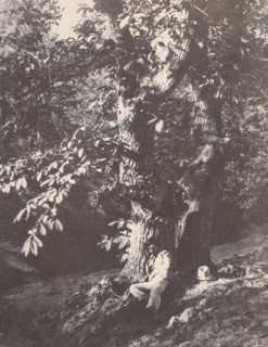 Homme allongé au pied d'un chàtaignier, 1850-53.