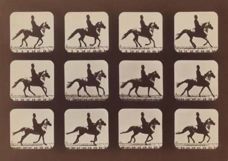 Attitudes of Animals in Motion, 1879, printed 1881.