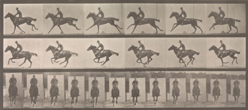 [Horse and Rider Galloping], 1883-86, printed 1887.