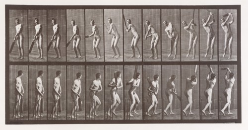 Animal Locomotion. An Electro-Photographic Investigation of Consecutive Phases of Animal Movements. Commenced 1872 - Completed 1885. Volume II, Men (Nude), 1880s.