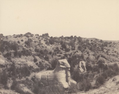 Karnak (Thèbes), Sphinx a Tête Humaine et a Tête de Bélier, en Y, 1851-52, printed 1853-54.