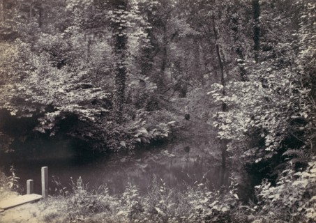 Colwyn Bay. The Pool in the Wood, 1870s.