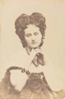 [La Comtesse décolletée; Roses mousseuses], 1861-67.