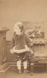 La veste de cygne, 1860s.