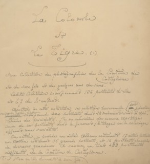 La Colombe et Le Tigre. Ma collection de photographies de la Comtesse de Castiglione, 1860s.