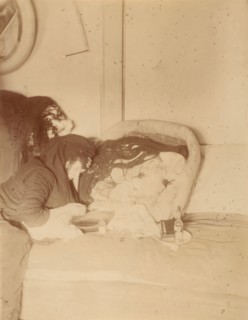 Les Chiens, 1875-80.