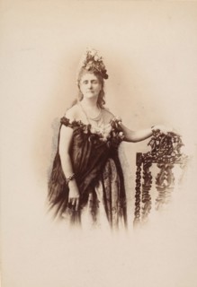 Roses Compiègne, 1895.