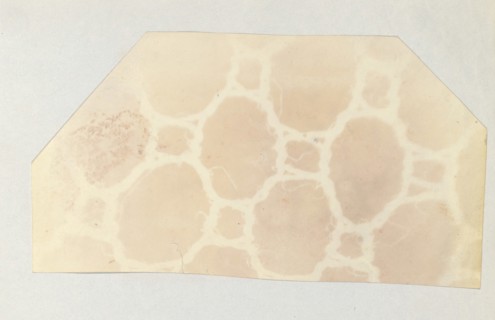 Lace in the Solar Microscope, 400 times magnified in surface, 1839.