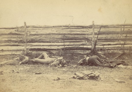 View in the Field, On the West Side of the Hagerstown Road, After the Battle of Antietam, Maryland, September 1862, 1862.