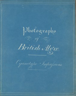 Photographs of British Algae: Cyanotype Impressions, ca. 1853.