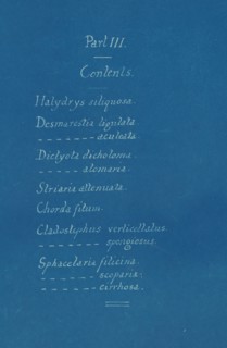 Part III Contents from Photographs of British Algae: Cyanotype Impressions, ca. 1853.