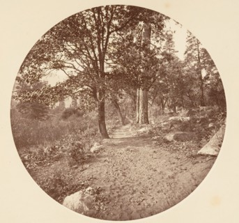 In the Yosemite Valley, ca. 1878.
