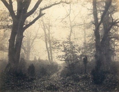 [Fontainebleau Forest], early 1860s.