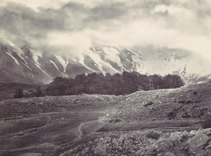 Distant View of the Cedars of Lebanon, ca. 1857.