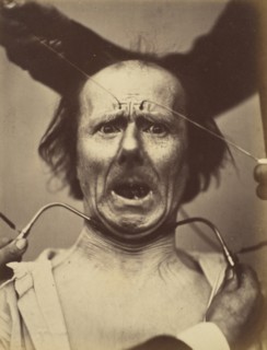 Icono-photographique. Mécanisme de la Physionomie Humaine. Fig. 65, 1854-56, printed 1862.