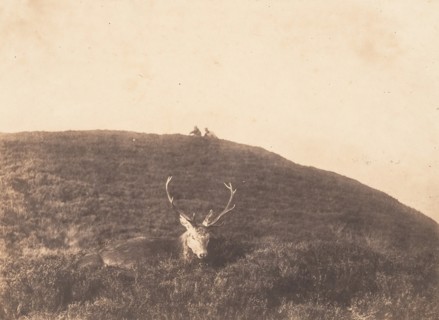 Hunters Stalking a Deer, ca. 1857.
