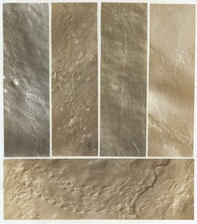 Ichnographs from the Sandstone of Connecticut River, published 1861.