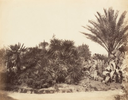 Pincian Garden, Rome, 1853-56.