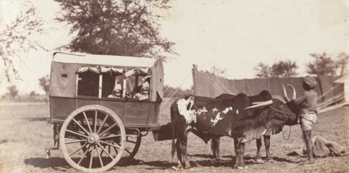 [Campbell Twins in a Shigram, Governor General's Camp], 1858-61.