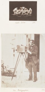 Water Lilies; The Photographer, 1853-56.