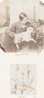 Johnny and Drum; Dead Game, 1853-56.