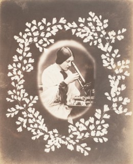 Thereza, 1853-56.