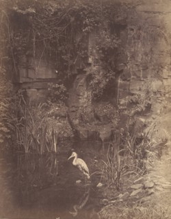 Piscator, No. 2, 1856.