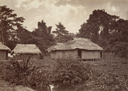 Tropical Scenery, Turbo Village, 1871.
